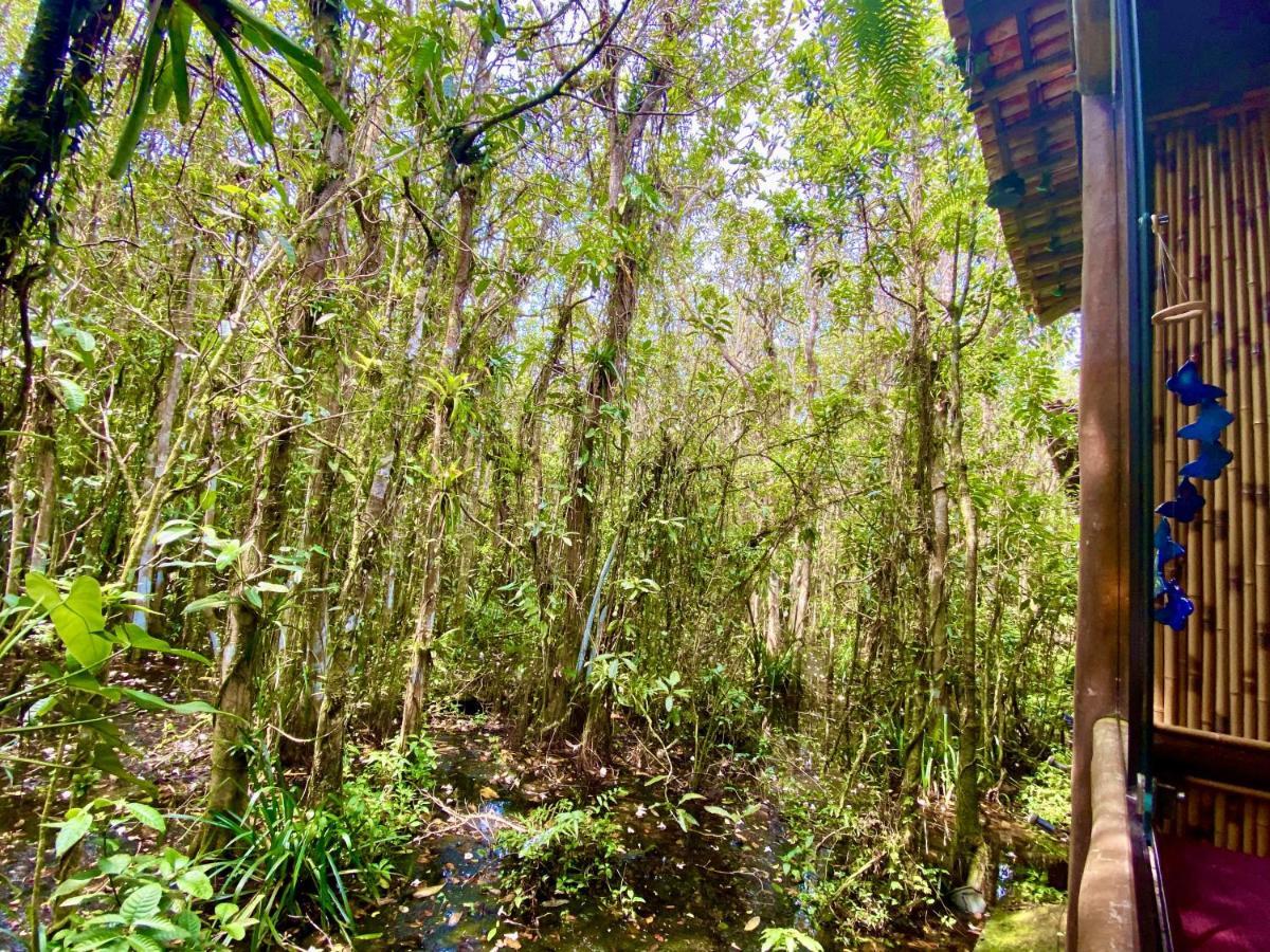 Maresias, Chale H29 Em Condominio De Frente A Entrada 18 Da Praia E Dentro Da Mata Atlantica Sao Sebastiao  Exteriör bild